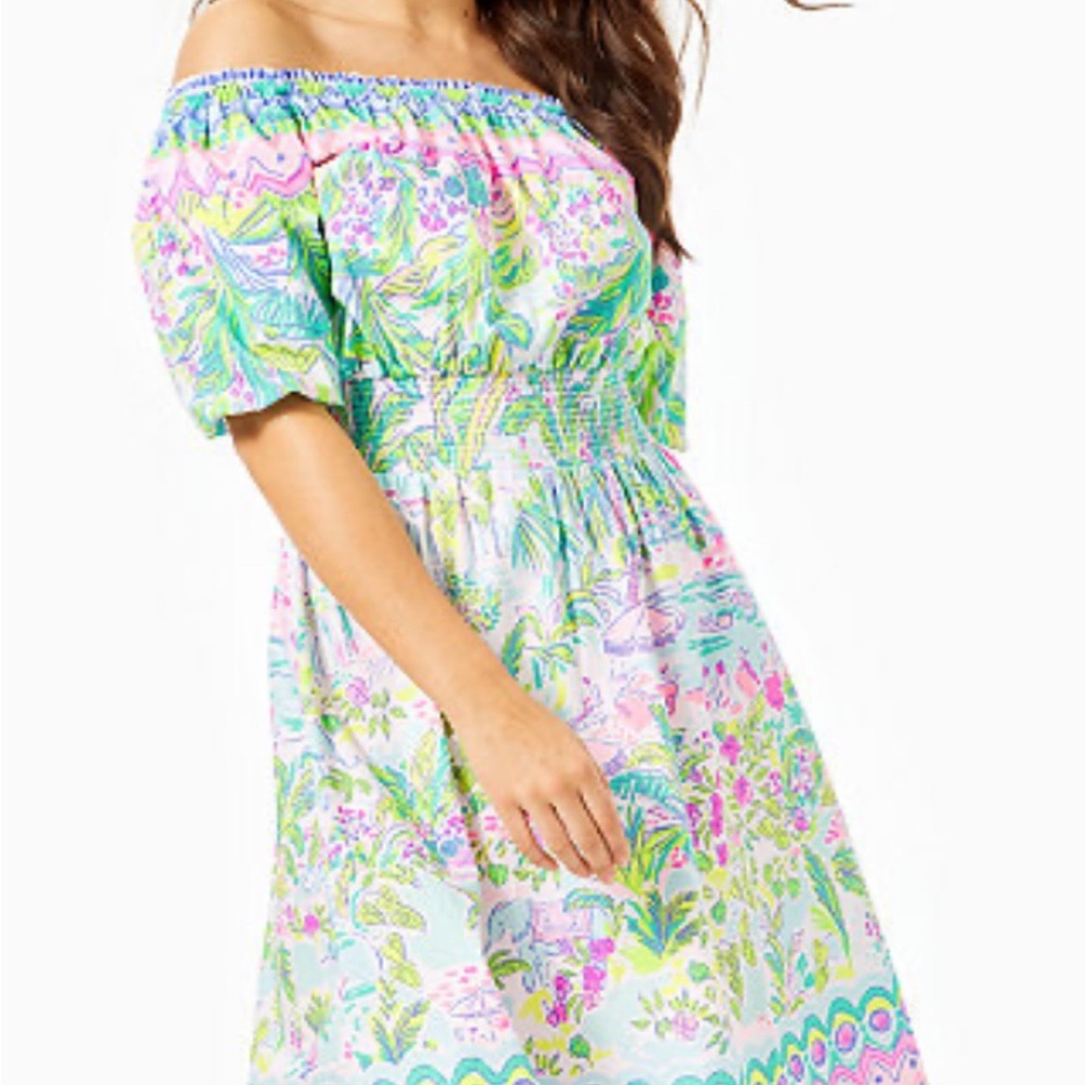 Lilly Pulitzer Green and Pink Smocked Midi Sundress